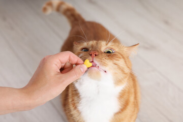 Woman giving vitamin pill to cute ginger cat indoors, closeup