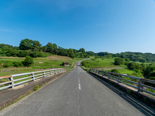 Fototapeta na wymiar 道路が通る明日香村稲渕の棚田の景色