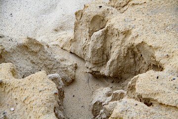 erosion of sand on Edisto Beach, South Carolina