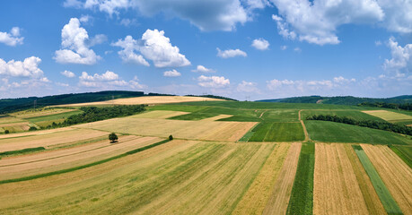 Aerial landscape view of green cultivated agricultural fields with growing crops on bright summer day