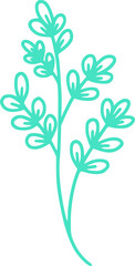 botanical line art vector illustration