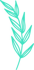 botanical line art vector illustration