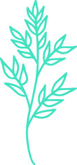 botanical line art vector illustration
