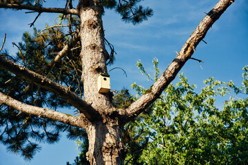 bird on tree