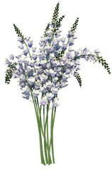 Naklejka premium bunch of lavender