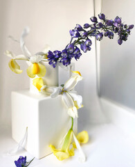 Still life of Irises and Delphinium in a white vase