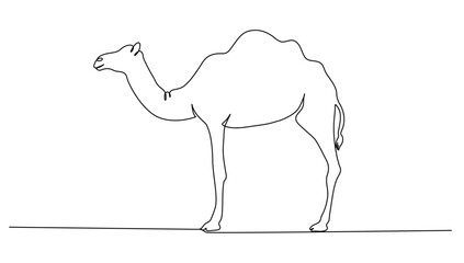 Continuous line art or One Line drawing of a standing camel for vector illustration, arabic animal modern continuous line drawing graphic design