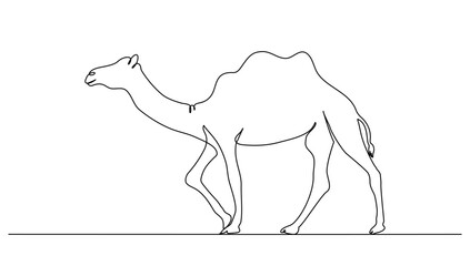 Continuous line art or One Line a walk camel drawing for vector illustration,  arabic animal modern continuous line drawing graphic design