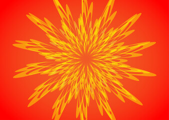 orange flower on a black background