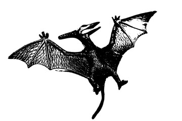 black dinosaur silhouette isolated on white background, model of pteranodon toys © sutichak