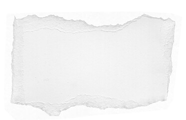 Obraz premium Stylish Ripped Paper Texture