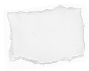 Stylish Ripped Paper Texture