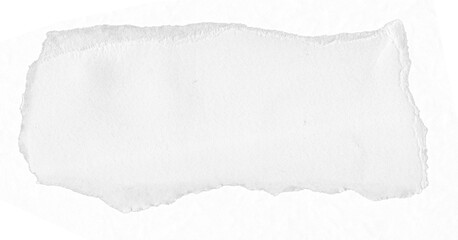Stylish Ripped Paper Texture