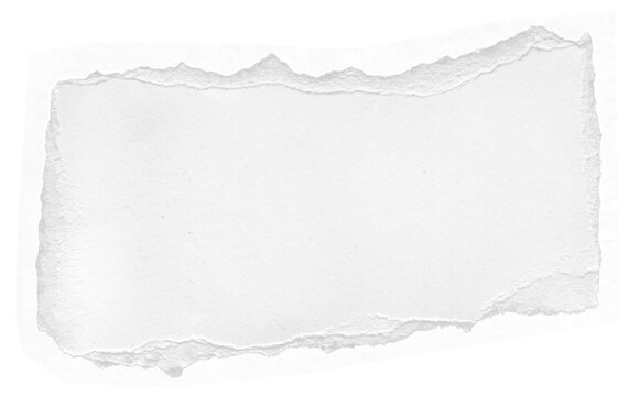Stylish Ripped Paper Texture