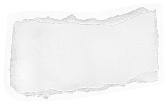 Stylish Ripped Paper Texture