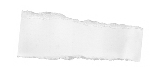 Stylish Ripped Paper Texture