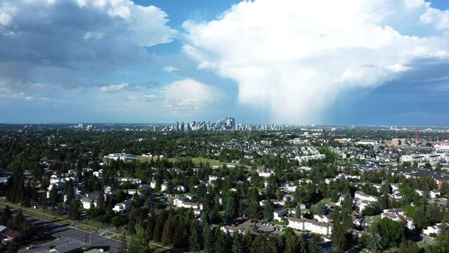 Urban communities covered with green trees with downtown view in the background