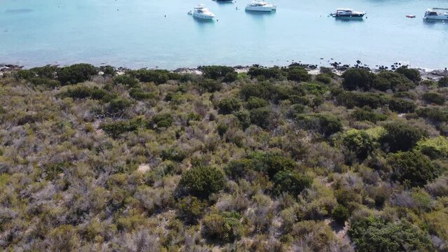 Boats and Yachts anchored in Blue Lagoon Bay of Veliki Budikovac Island, Croatia. Aerial