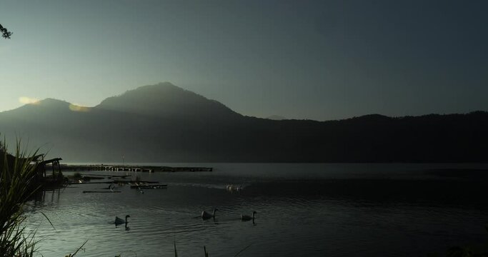 Rising image of volcanic lake batur with view of mountain batur and the calm lake with swimming ducks on a beautiful morning during golden hour
