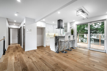 Canadian single family house, renovated with some luxury elements in design with kitchen, rooms,...
