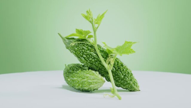 Two bitter melon leaning against each other and rotating on the pastel green background. Bitter melon (Momordica charantia) high in vitamins A and C