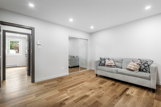 Canadian single family house, renovated with some luxury elements in design with kitchen, rooms, bedrooms, appliances, finished basement, laundry, backyard and patio