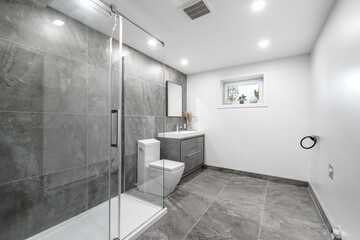 Canadian single family house, renovated with some luxury elements in design with kitchen, rooms,...