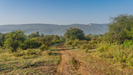 Fototapeta na wymiar The dirt road for safari winds and goes forward. There is green grass on the roadsides, thickets of bushes and jungle trees. Mountains against the blue sky. Sariska National Park. India.