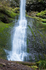 Fototapeta na wymiar Mossy Waterfall From Below