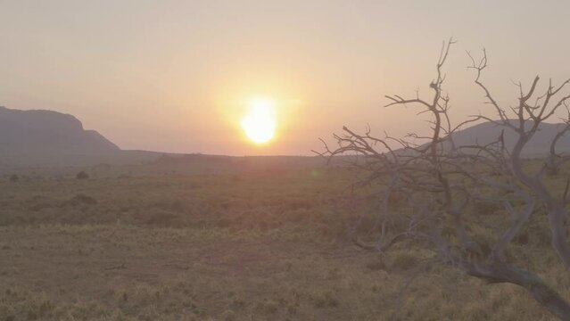Aerial drone footage of sun rising in Amboseli National park