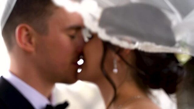 Beautiful newlyweds kissing under the brides veil.
