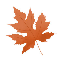 Autumn Leaves