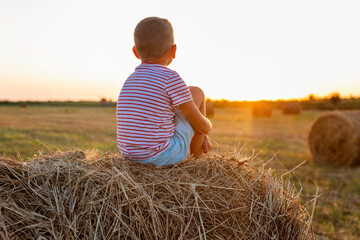 The boy is sitting in the field on a roll of hay with the setting sun. Farming and nature. Back...