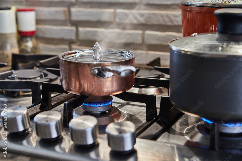 Poster Pots with cooking food in the kitchen on gas stove