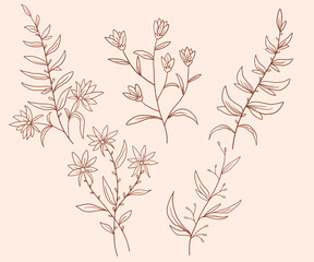 Aesthetics hand drawn floral line art vector collections
