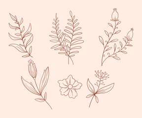 Aesthetics hand drawn floral line art vector collections