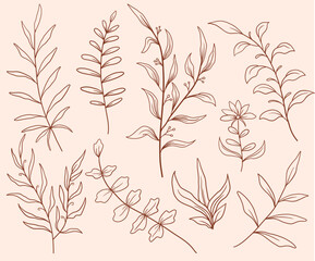 Aesthetics hand drawn floral line art vector collections