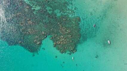 Coral reefs in Kata Beach Phuket Thailand