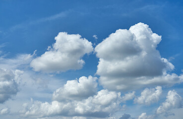 Naklejka na ściany i meble The white fluffy cloud and blue sky