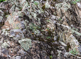 Coastal stones of the granite canyon of the mountain river, close-up.