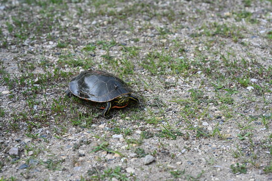 Monson Lake State Park