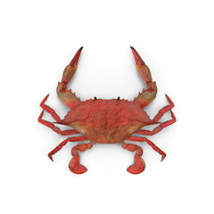 Red crab isolated on transparent background