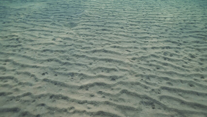 Sandy silty bottom with sunraiy in the morning time. Natural background from the underwater depth, Red sea, Egypt