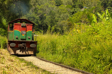 Fototapeta na wymiar Train from Ella to Kandy among the jungle and mountains. Sri Lanka.