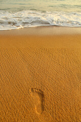 Footprints in the sand stretching to the Indian Ocean island of Sri Lanka.