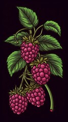 Fresh Organic Boysenberry Berry On Dark Background, Vertical Trendy Illustration. Healthy Vegetarian Diet. Ai Generated Bright Trendy Illustration with Delicious Juicy Boysenberry Berry.