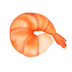 shrimp
