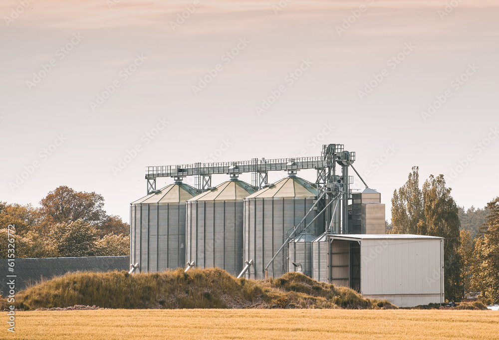 Wall mural Steel grain silos stand next to a field. Agro silo granary elevator with seeds. Agro-processing manufacturing plant for processing drying cleaning and storage of agricultural products