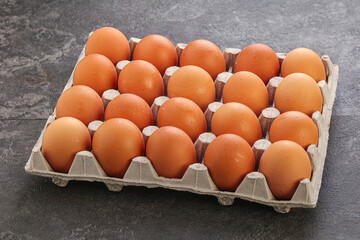 Organic chicken egg in the carton