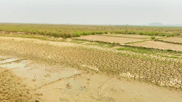 Panning shot of cracked soil in drought farmland. Static wide shot